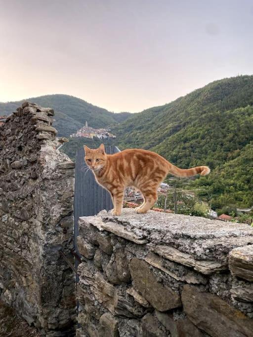 Iconic Italian Townhouse W Rooftop Terrace & Mountain View, Pigna Buitenkant foto
